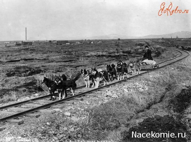 О транспорте и не только...