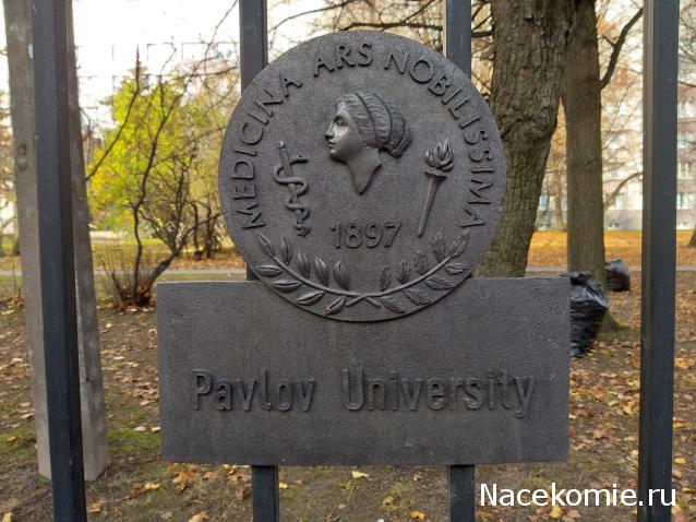 Мой любимый город или дорогие сердцу места