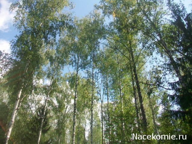 mirumir - Ваня, Валя, Вася