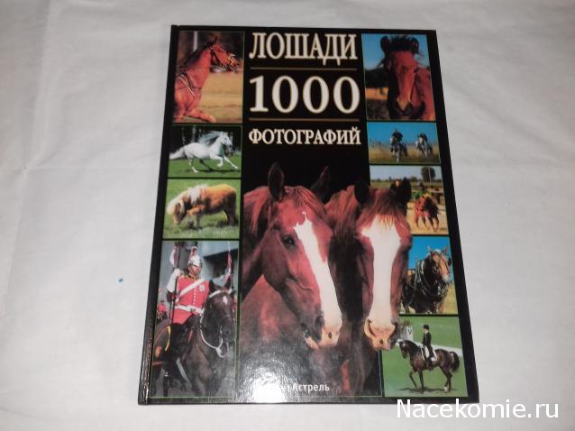 Тракторная болталка