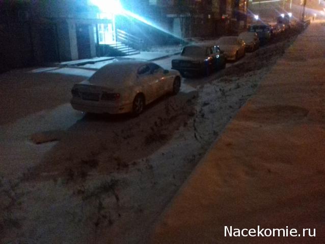 "Живой уголок"