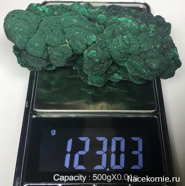 Коллекция igfo