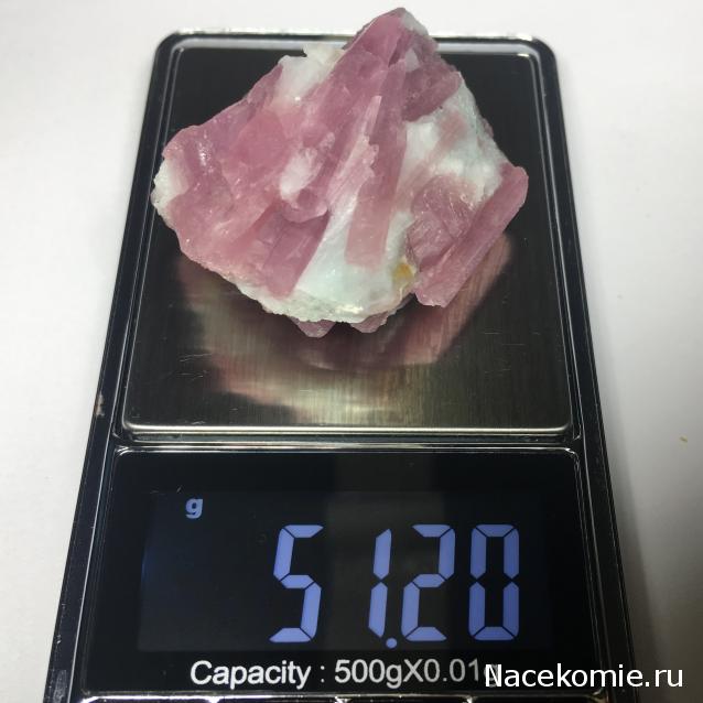 Коллекция igfo