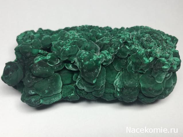 Коллекция igfo