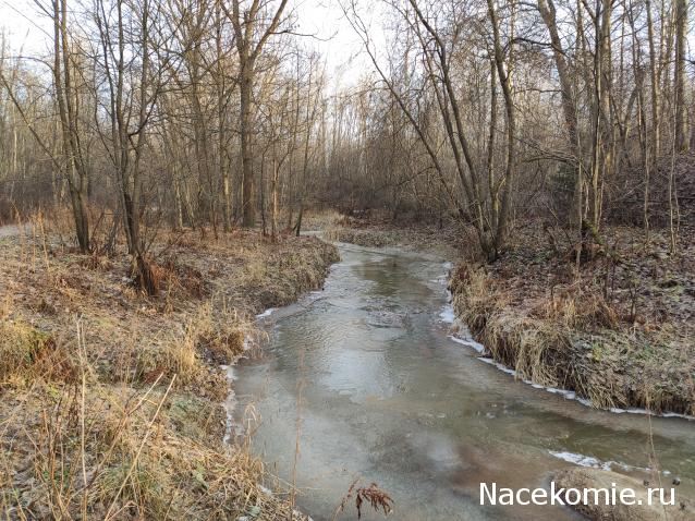 Мой любимый город или дорогие сердцу места