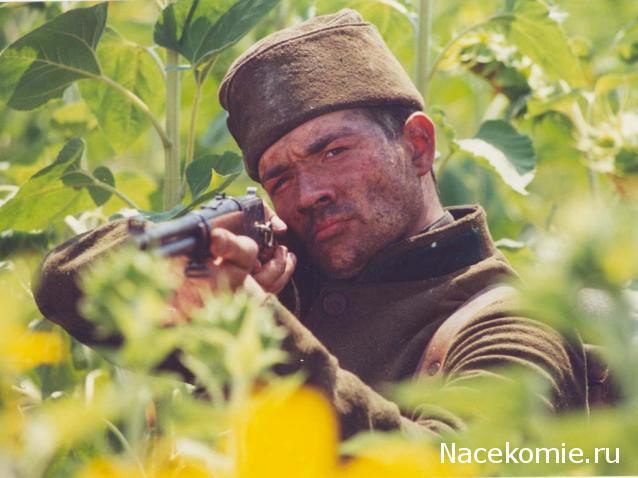 Кинозал автолюбителей