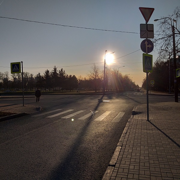 "Живой уголок"