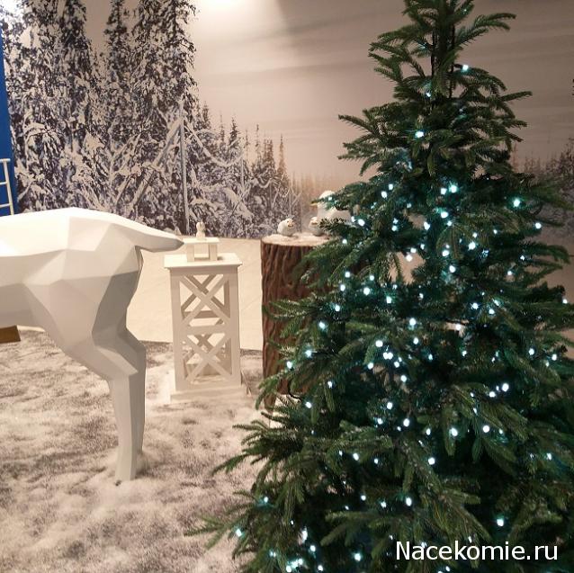 "Живой уголок"