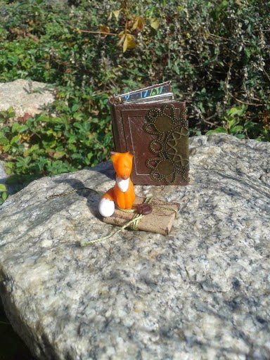 Anatra - Утиные лапы (не без помощи клюва) представляют