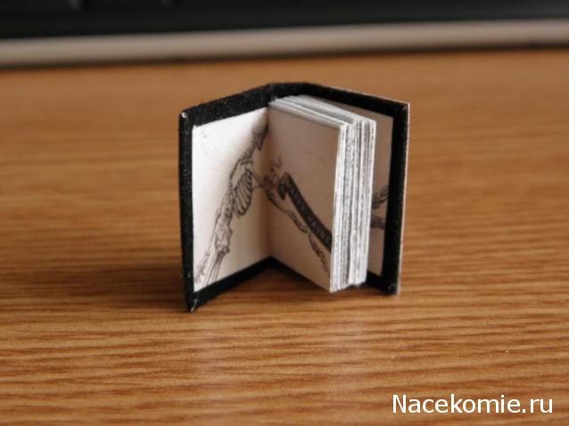 Anatra - Утиные лапы (не без помощи клюва) представляют