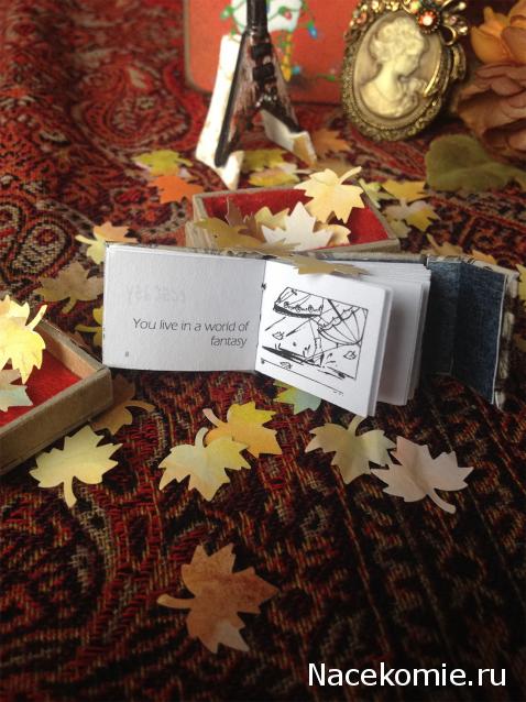 Anatra - Утиные лапы (не без помощи клюва) представляют