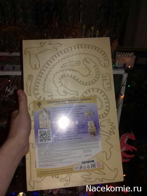 MisterDrakon - Дом "Золотой Дракон" для Драконьих Самок: Бейзил, Лада, Сапфира, Джессика, Сису.