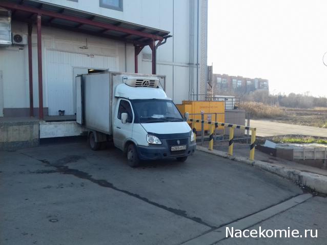 Автолегенды вживую