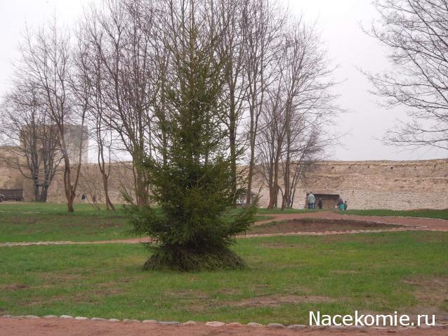 Тракторная болталка