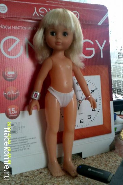 Eva1949 - Дом мечты-души моей воспоминания; 1Abrikoska - Мой гостеприимный дом