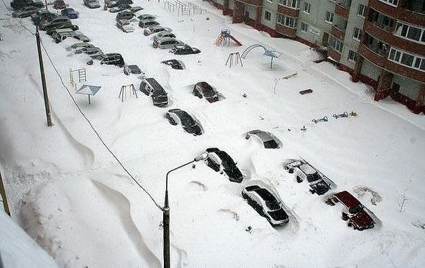 "Живой уголок"