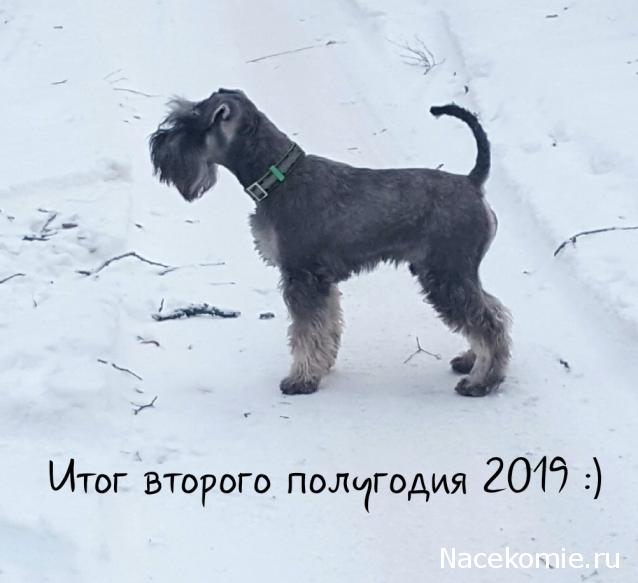 Тракторная болталка