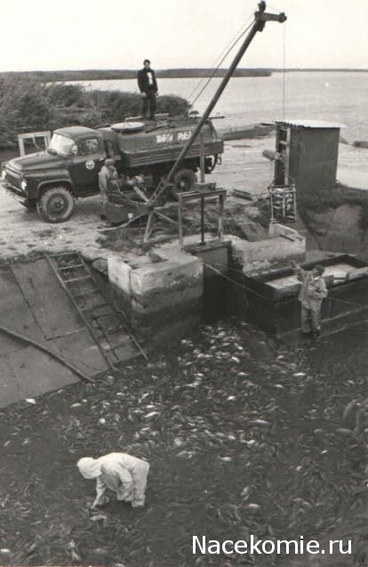 Гаражные посиделки - Болталка-трёп АЛГ