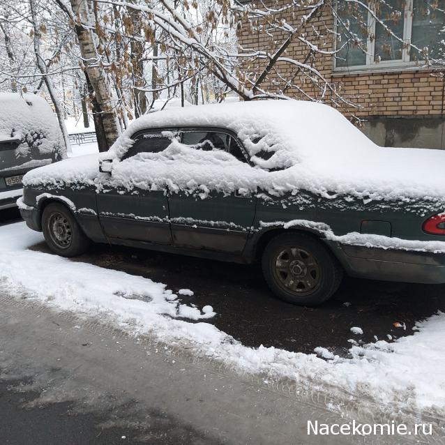 Автолегенды вживую