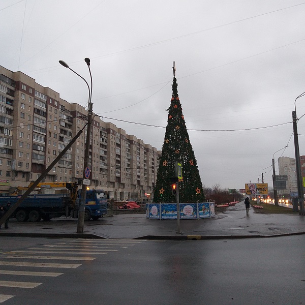"Живой уголок"