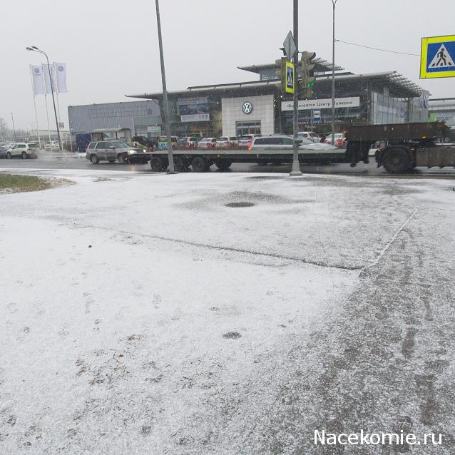 "Живой уголок"
