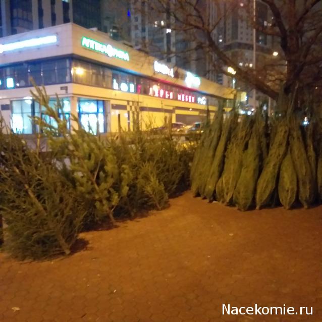 "Живой уголок"