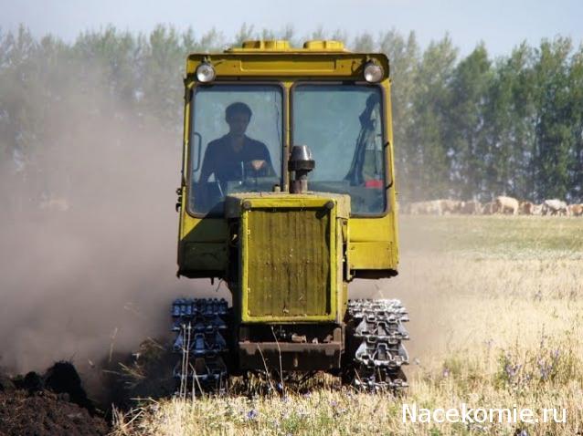 Тракторы: история, люди, машины - График выхода и обсуждение