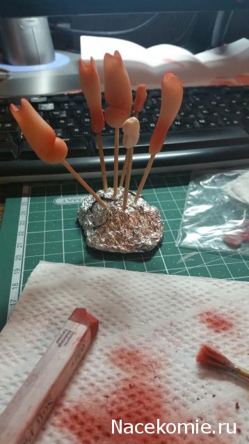 Anatra - Утиные лапы (не без помощи клюва) представляют