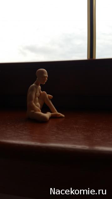 Anatra - Утиные лапы (не без помощи клюва) представляют