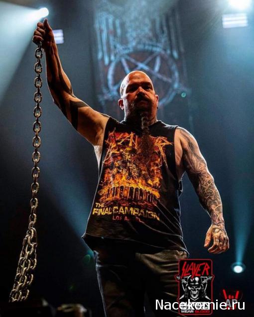 Anatra - Утиные лапы (не без помощи клюва) представляют