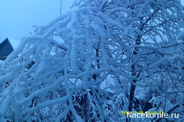 Eva1949 - Дом мечты-души моей воспоминания; 1Abrikoska - Мой гостеприимный дом