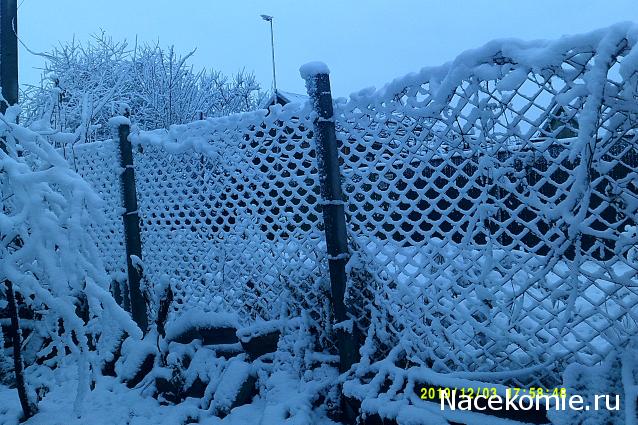 Eva1949 - Дом мечты-души моей воспоминания; 1Abrikoska - Мой гостеприимный дом