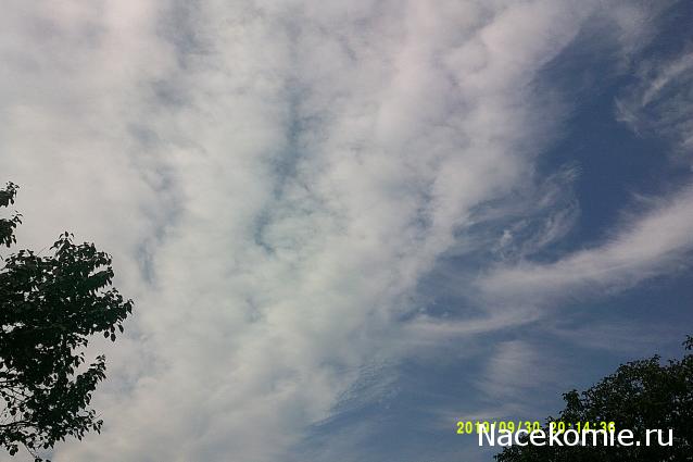 Eva1949 - Дом мечты-души моей воспоминания; 1Abrikoska - Мой гостеприимный дом