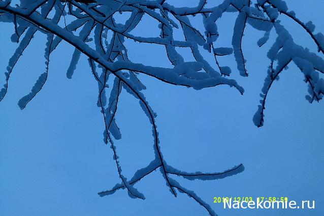 Eva1949 - Дом мечты-души моей воспоминания; 1Abrikoska - Мой гостеприимный дом