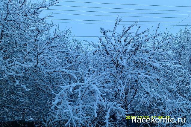 Eva1949 - Дом мечты-души моей воспоминания; 1Abrikoska - Мой гостеприимный дом