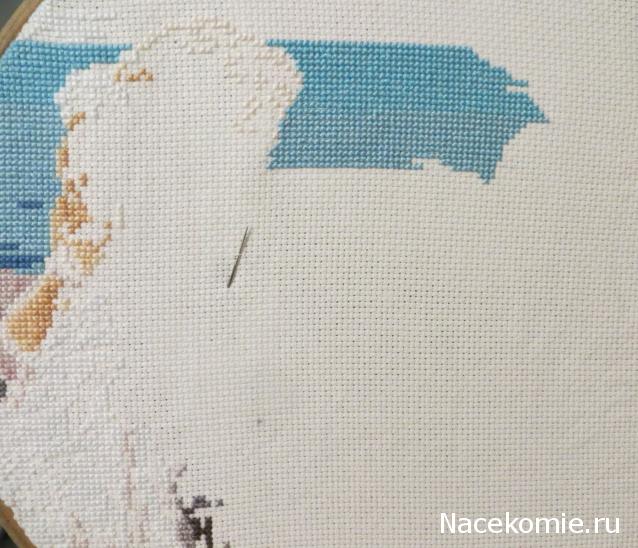 100 крестиков!