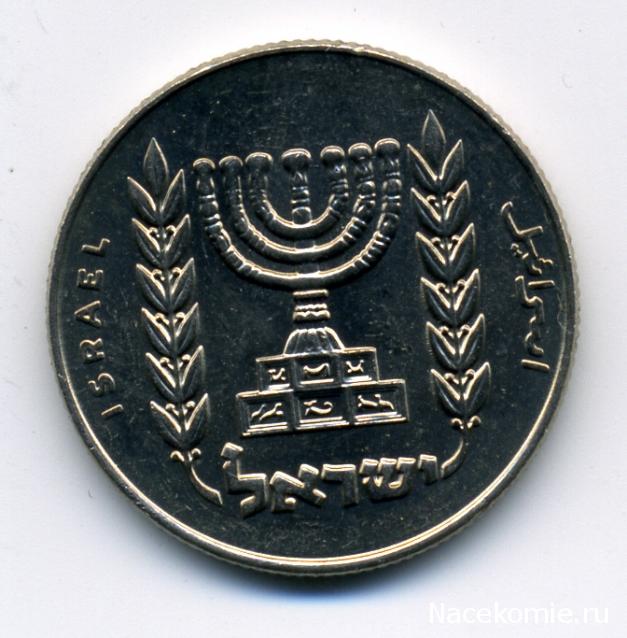 Монеты и банкноты №408 1/2 лиры (Израиль), 5 дирхамов (Катар)