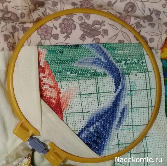 100 крестиков!