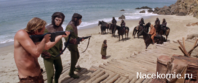 Кинозал автолюбителей