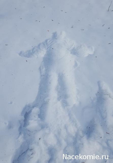 Тракторная болталка