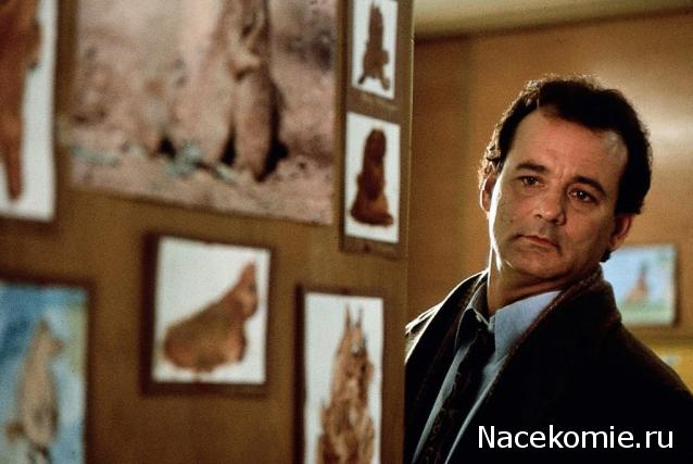 Кинозал автолюбителей