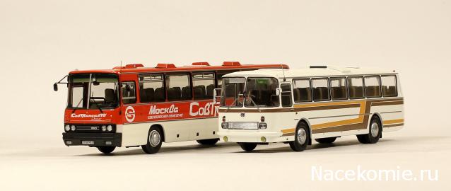 Classicbus