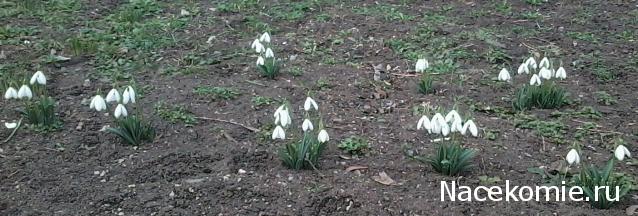 100 крестиков!