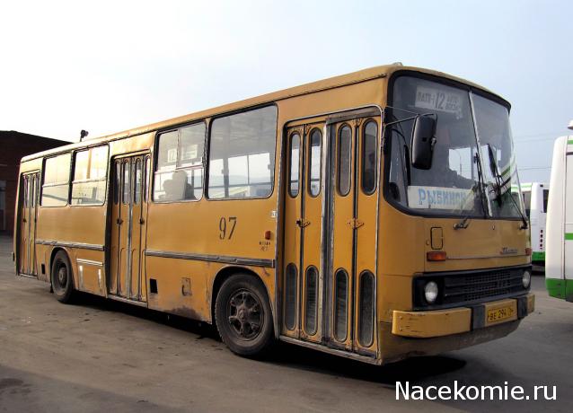 Наши Автобусы №4 - Икарус-260