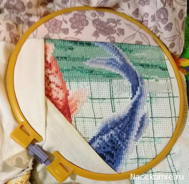 100 крестиков!