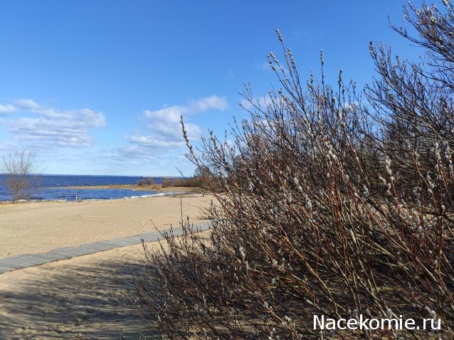 Мой любимый город или дорогие сердцу места