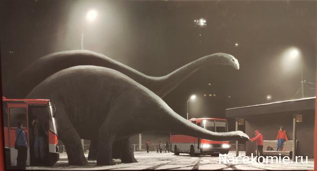 О транспорте и не только...