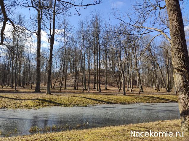 Мой любимый город или дорогие сердцу места