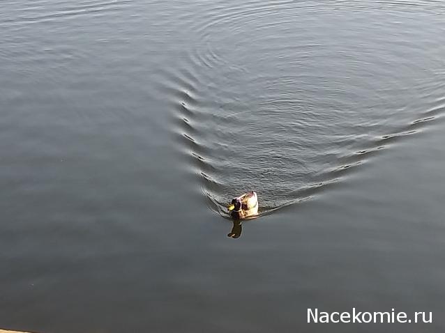 "Живой уголок"