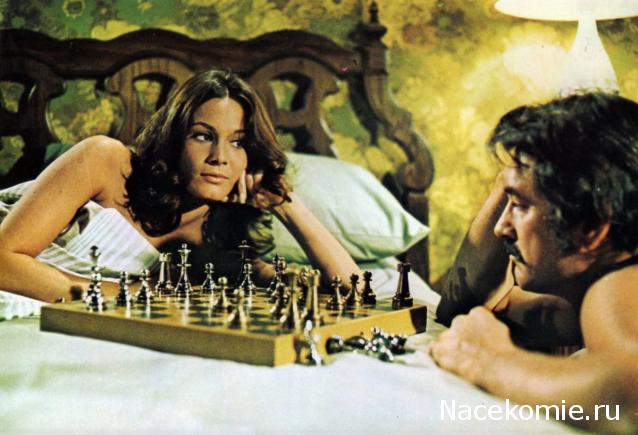 Кинозал автолюбителей